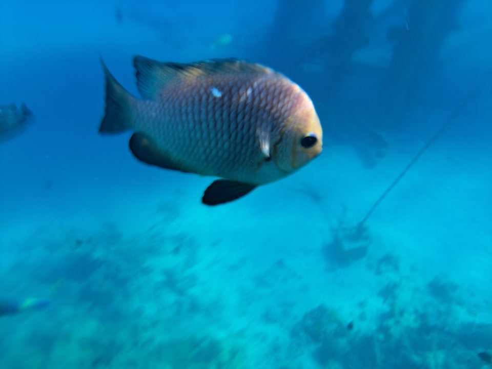 Sport & Freizeit Titanic Beach Spa & Aqua Park