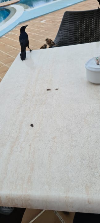 Zimmer Blau varadero - Adults only