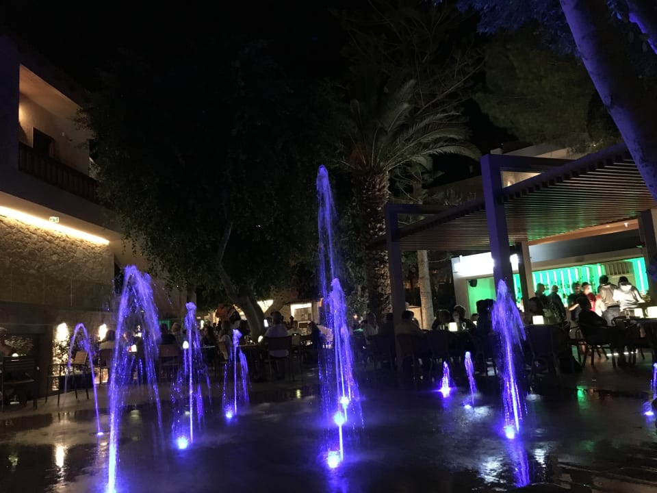 Gastro Cactus Beach