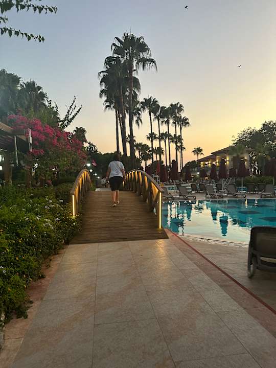 Pool Trendy Palm Beach (Adults Only, 16+)