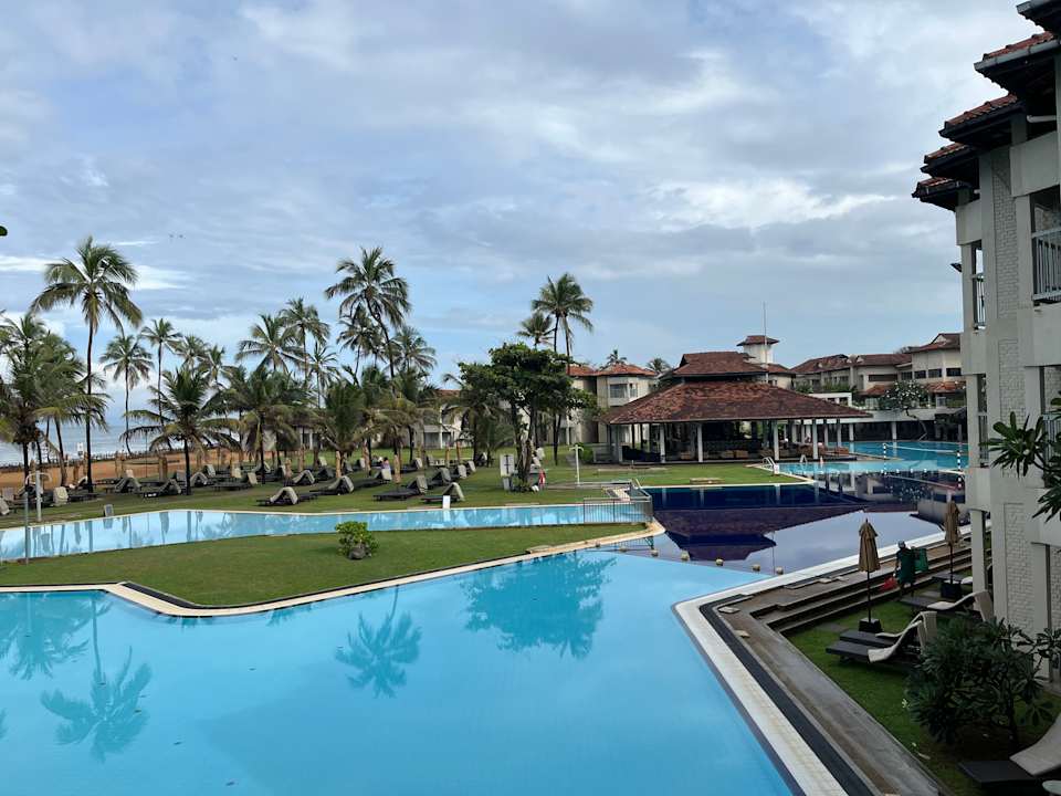 Pool Club Hotel Dolphin