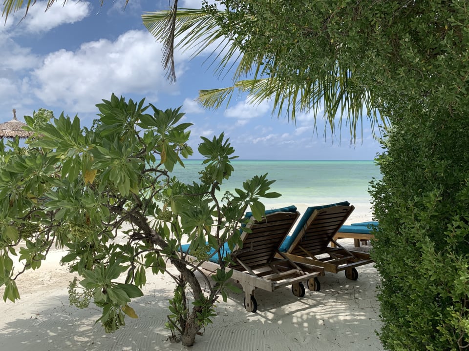 Strand Canareef Resort Maldives