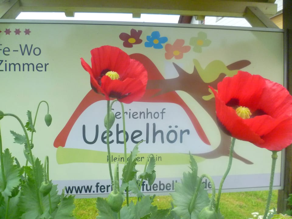 Sonstiges Ferienhof Uebelhör