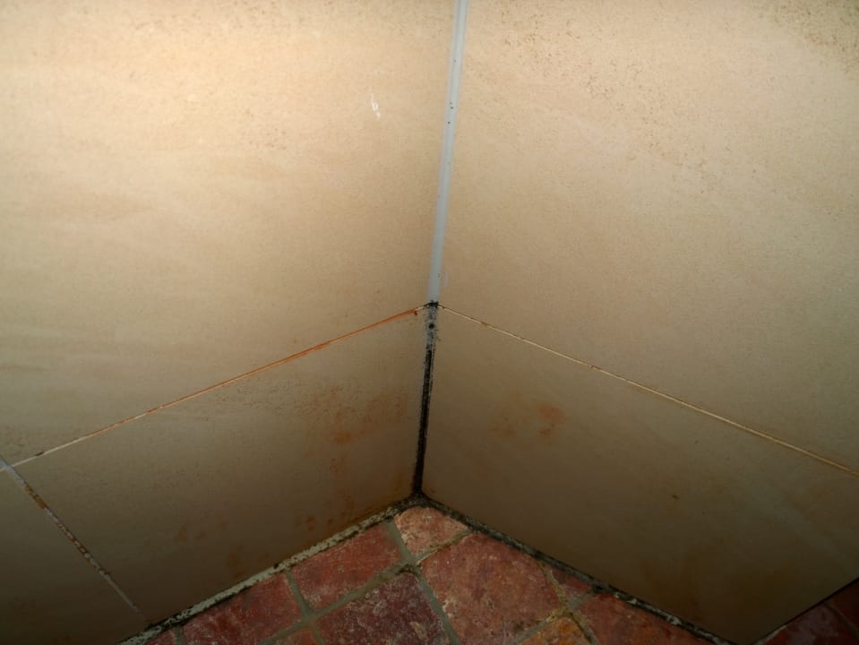 Zimmer Tropical Islands Resort