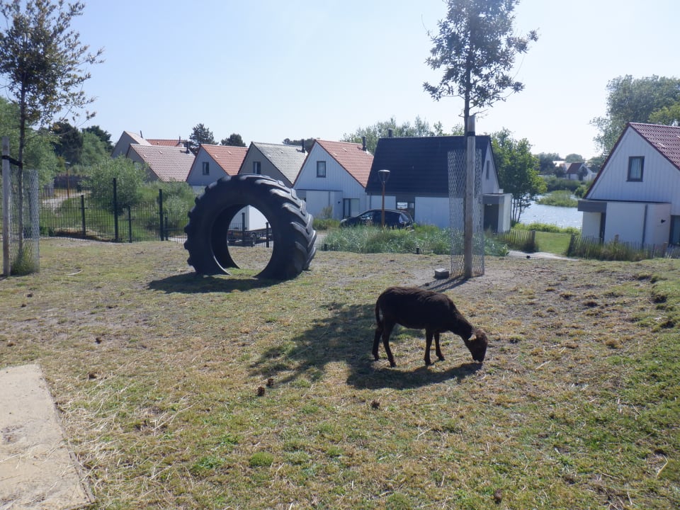 Sonstiges Center Parcs Park Zandvoort - Ferienhäuser