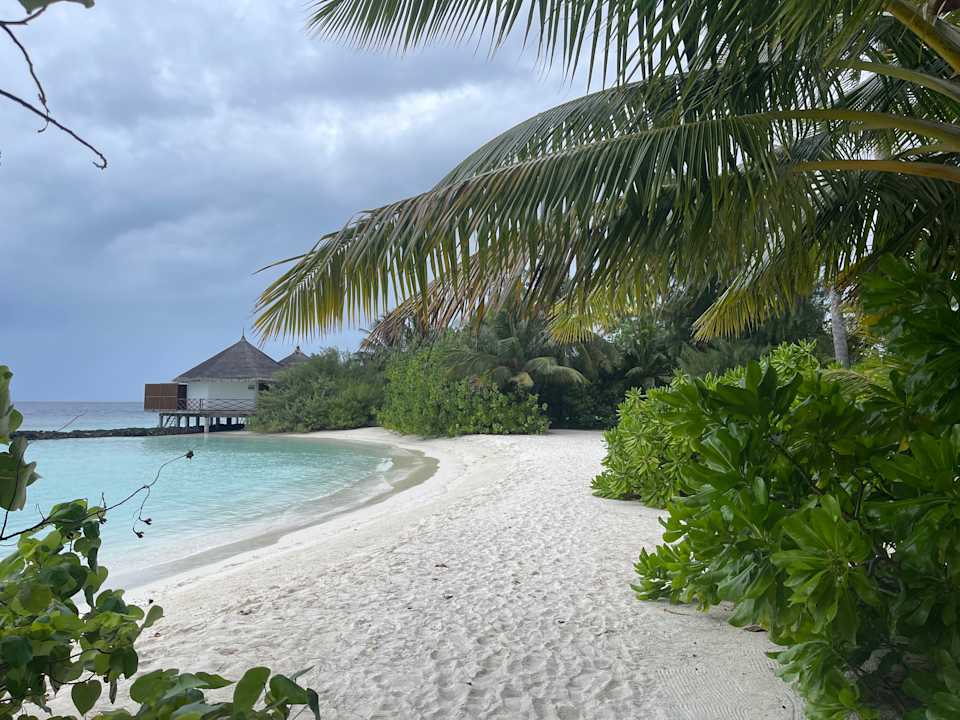 Strand Safari Island Maldives