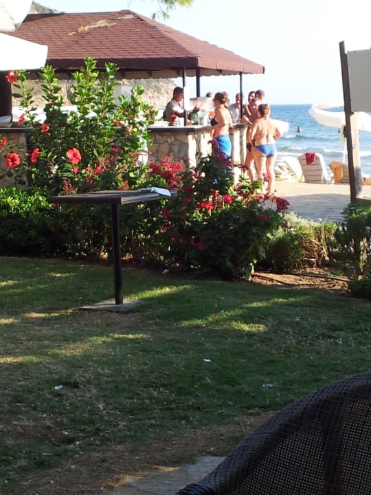 Strand Bar Aria Claros Beach & Spa Resort
