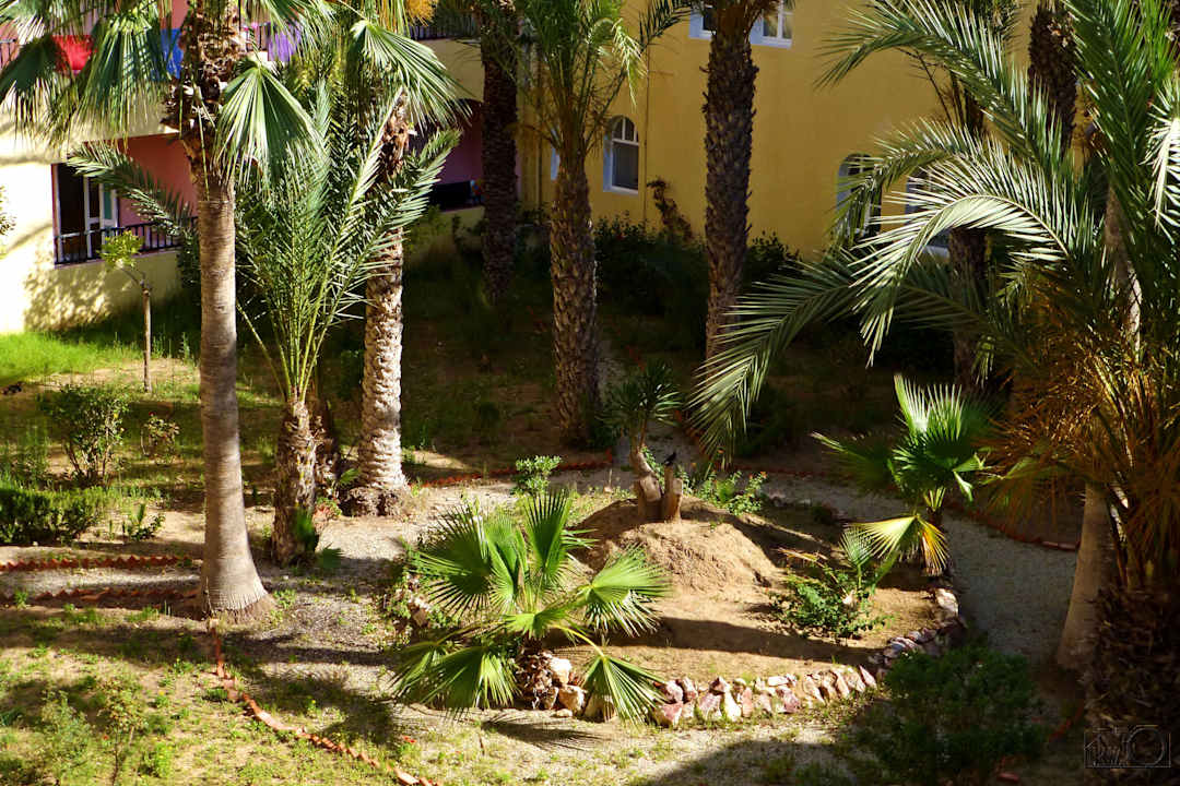 Patio Houda Golf & Beach Club