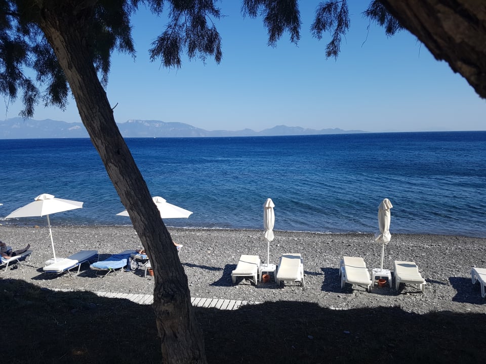 Strand Dimitra Beach Hotel & Suites