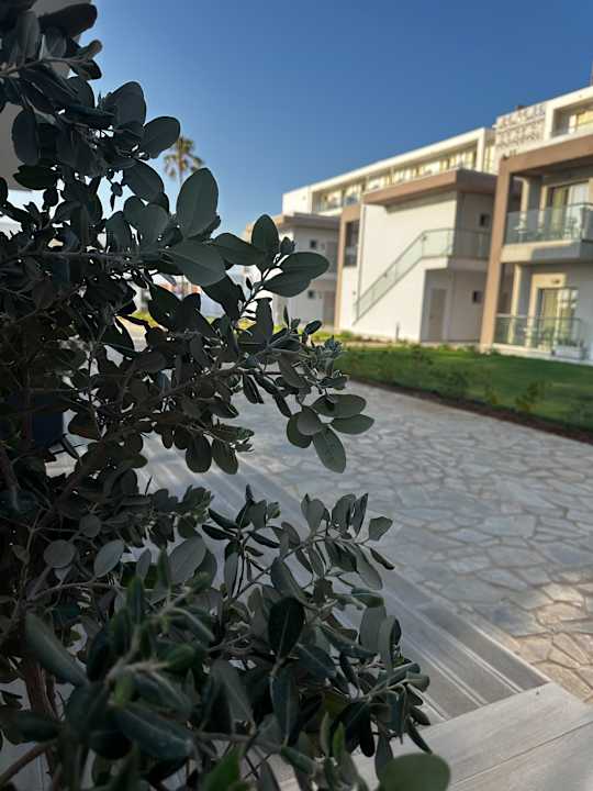 Ausblick allsun Hotel Carolina Mare