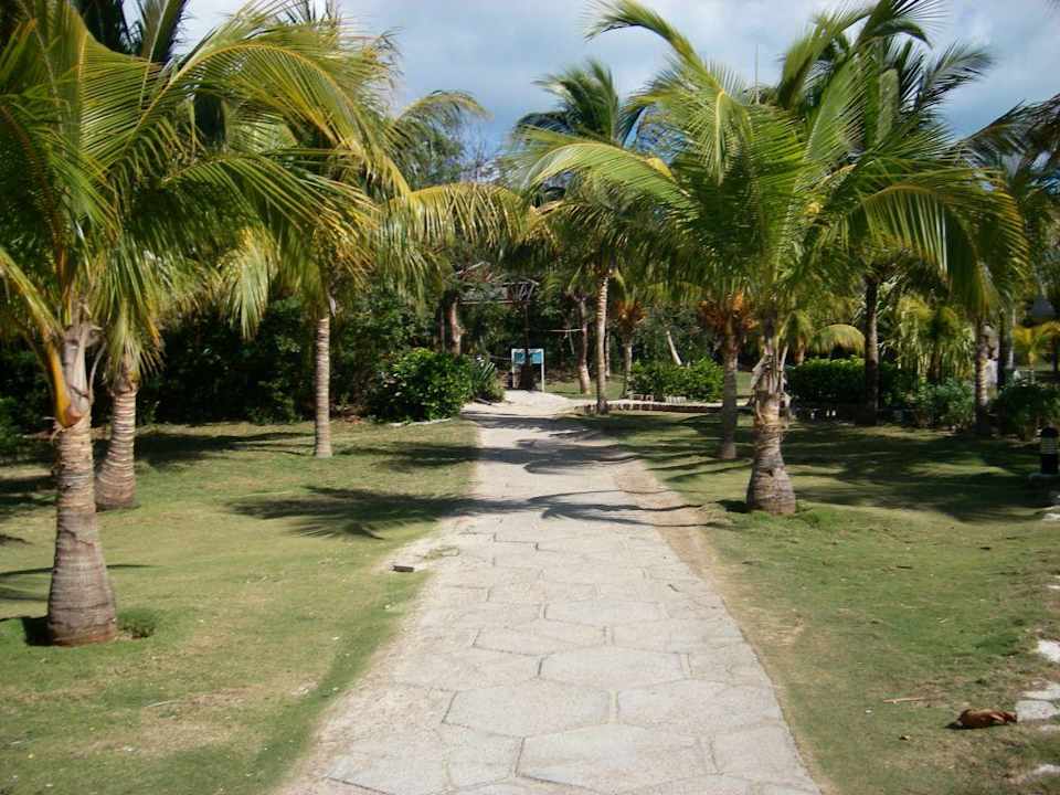 Der Weg zum Strand Royalton Hicacos Resort & Spa - Adults only