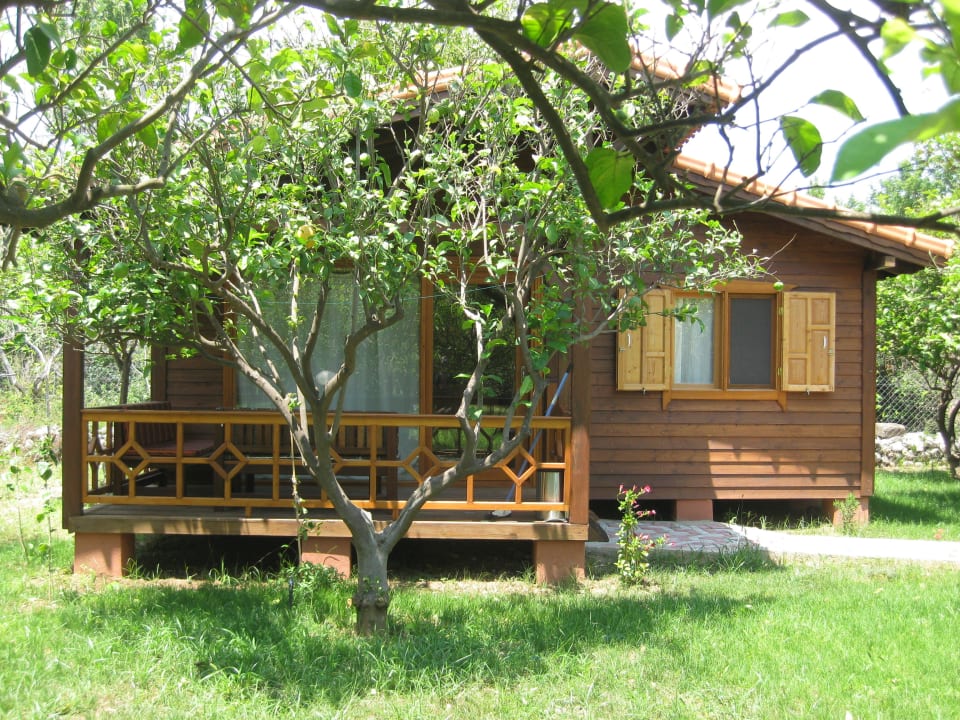 Bungalow Guesthouse Baraka House