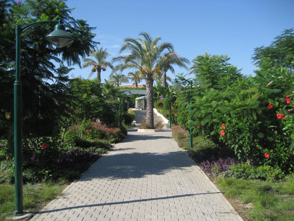 Weg naar het strand. Crystal Paraiso Aqua Collection