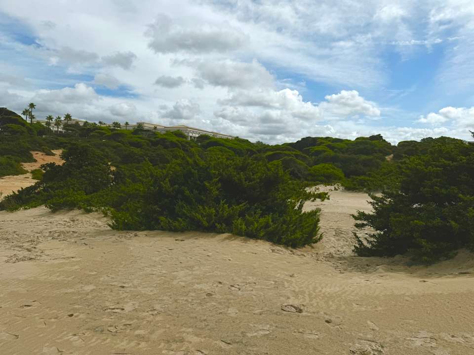 Gartenanlage Valentin Sancti Petri