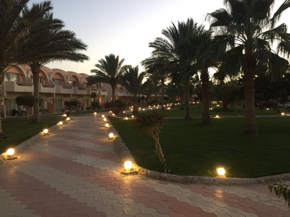 Gartenanlage Three Corners Sea Beach Resort