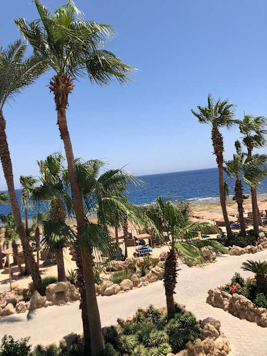 Außenansicht Pickalbatros Citadel Resort