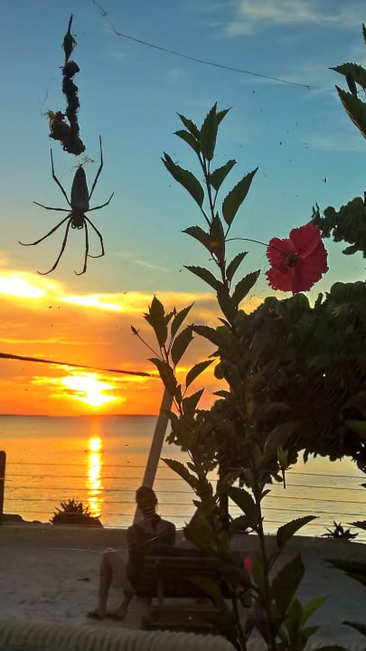 Strand Royal Zanzibar Beach Resort