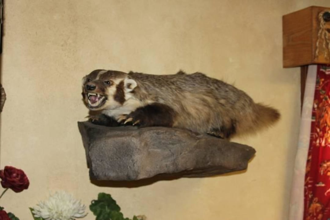 Lobby Super 8 Motel - Jackson Hole