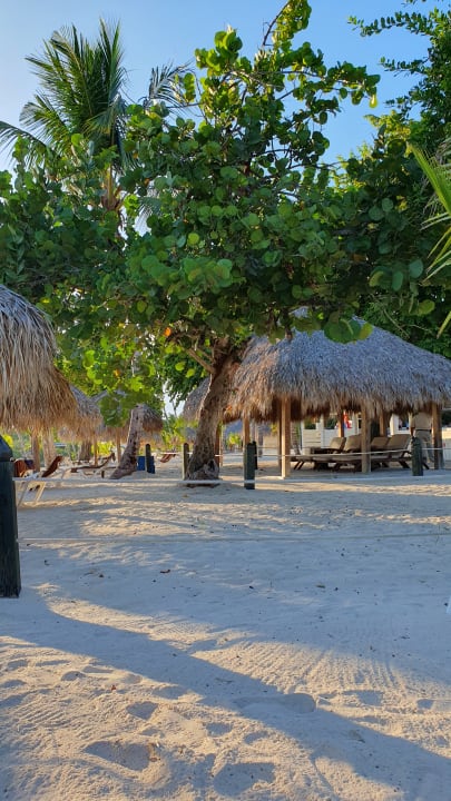 Strand Secrets La Romana Resort & Spa - Adult Only