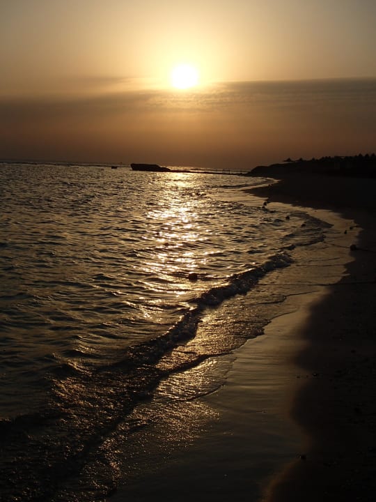 ....... Malikia Resort Abu Dabbab