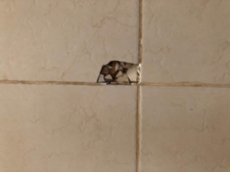 Sonstiges Sirenis Tropical Varadero