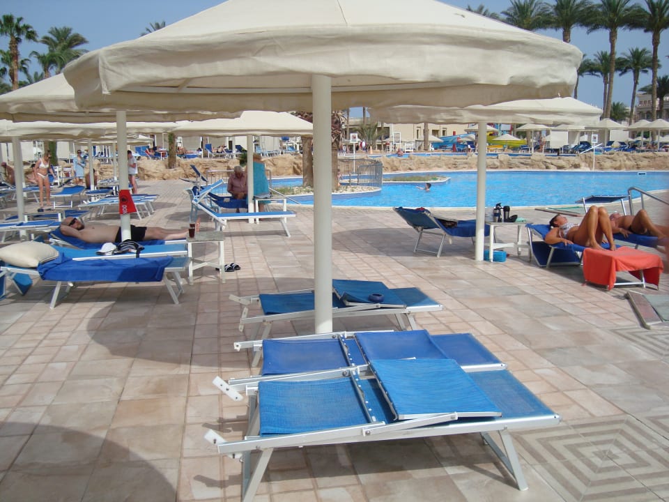 Pool Beach Albatros Resort