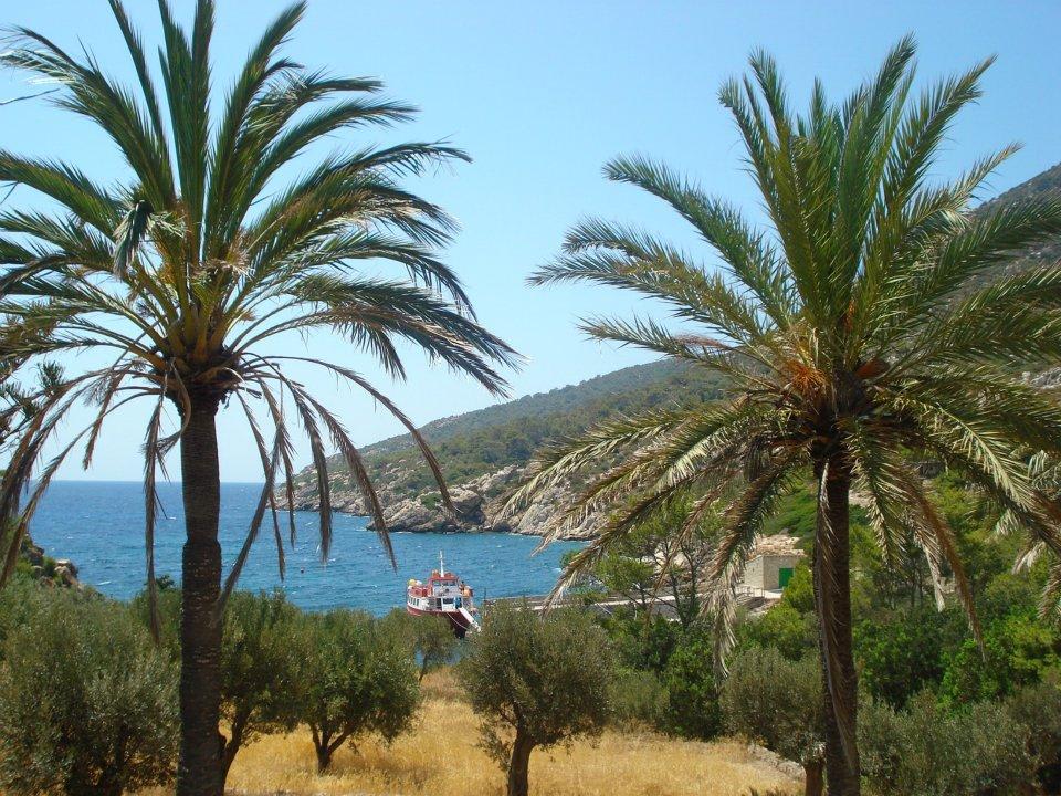 Ausflug zur Dracheninsel Valentin Reina Paguera