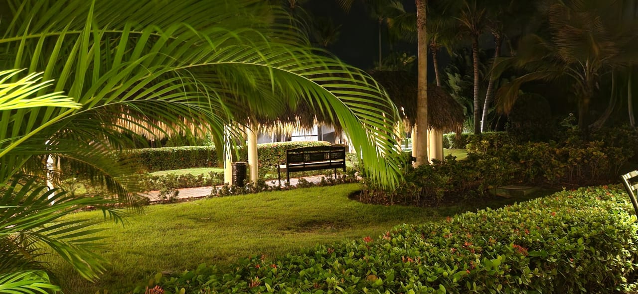 Gartenanlage TRS Turquesa Hotel - Adults only