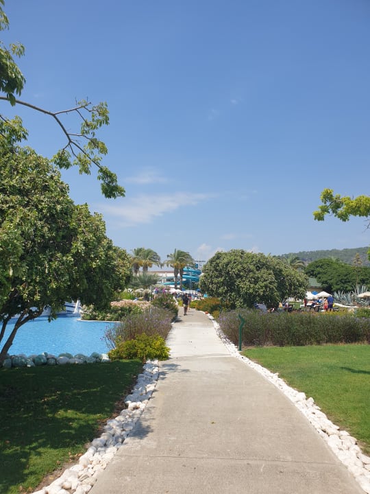 Pool TUI BLUE Tropical