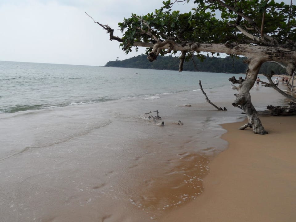 Strandabschnitt Khao Lak Merlin Resort
