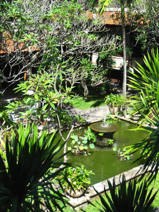 Blick vom Balkon Villa Shanti Beach