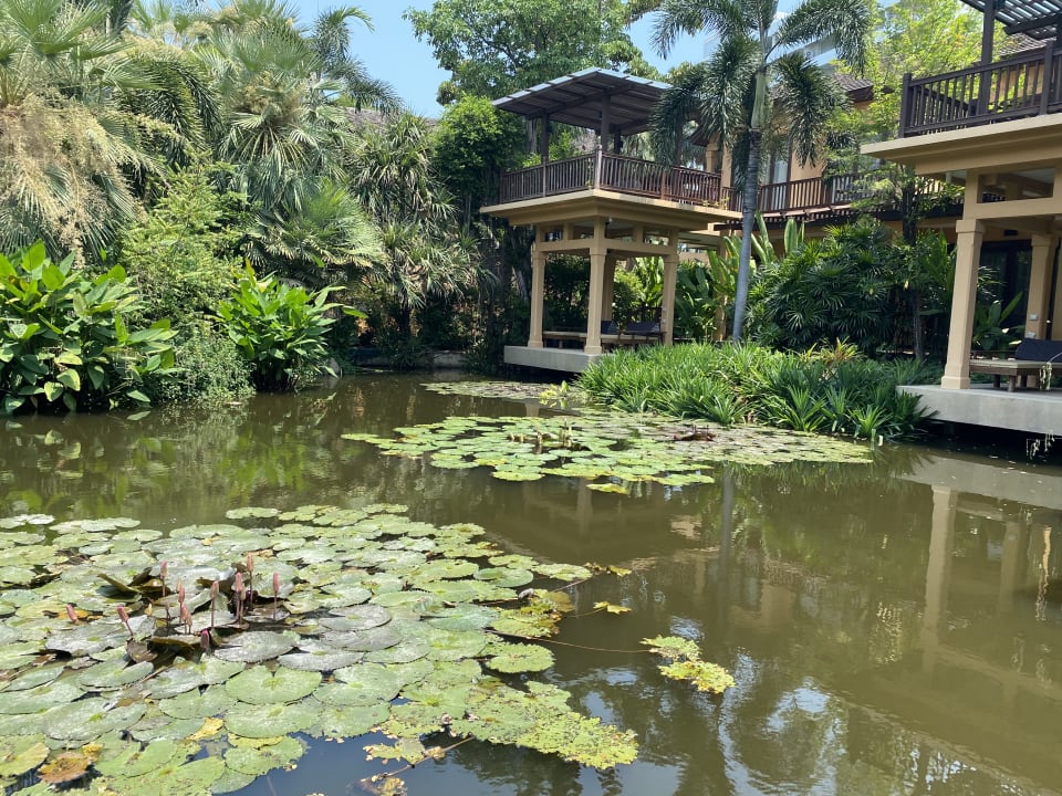 Gartenanlage Mövenpick Asara Resort & Spa Hua Hin