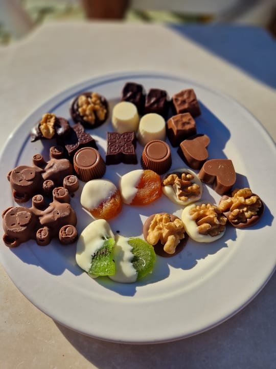 Gastro Hotel Delphin Imperial