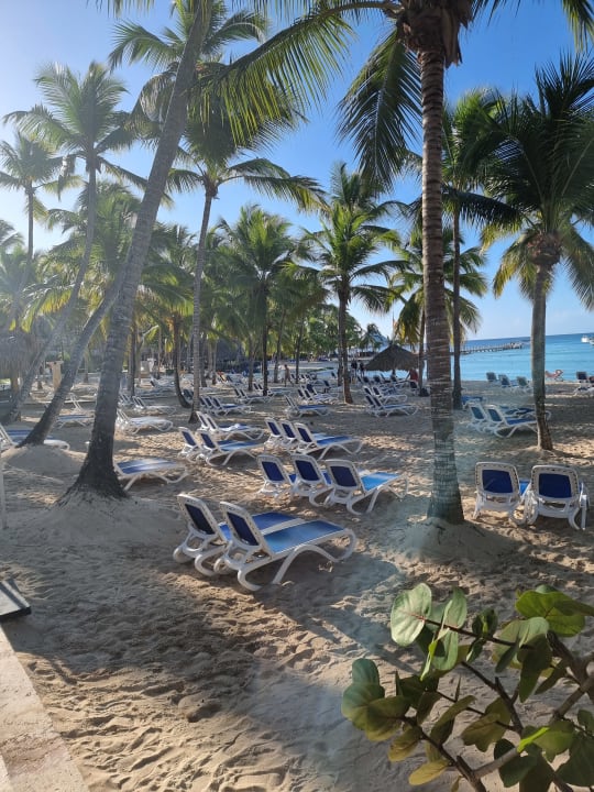 Gartenanlage Hotel Viva Dominicus Beach by Wyndham - All Inclusive Resort