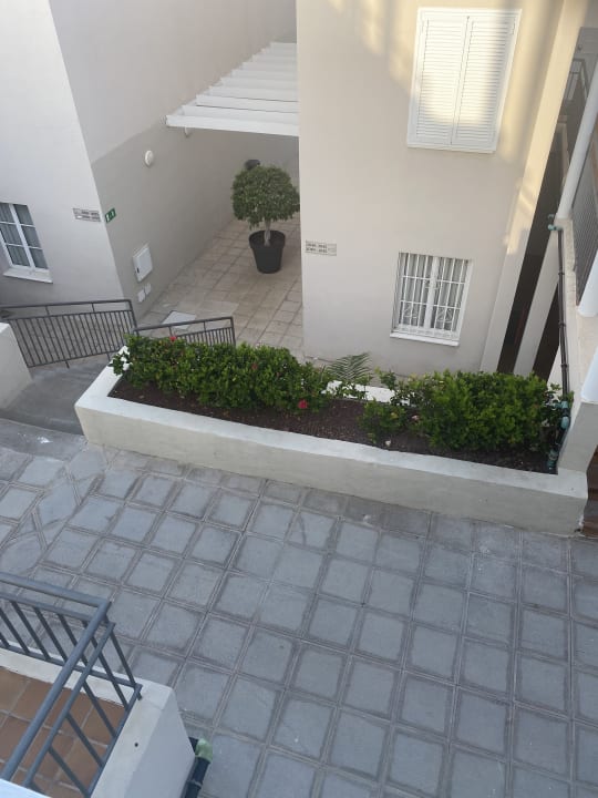 Zimmer Los Olivos Beach Resort