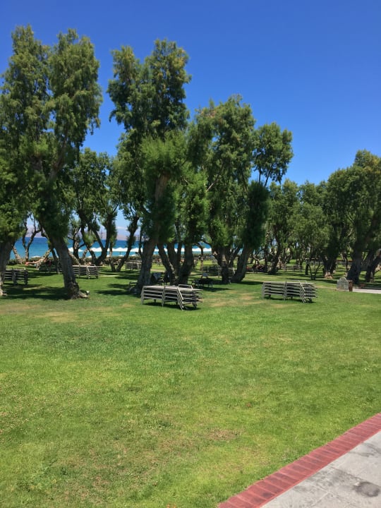Gartenanlage Neptune Luxury Resort