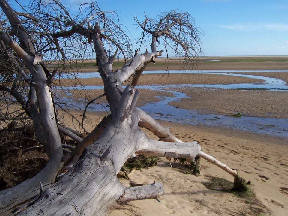 Strand bei Ebbe  ROBINSON QUINTA DA RIA
