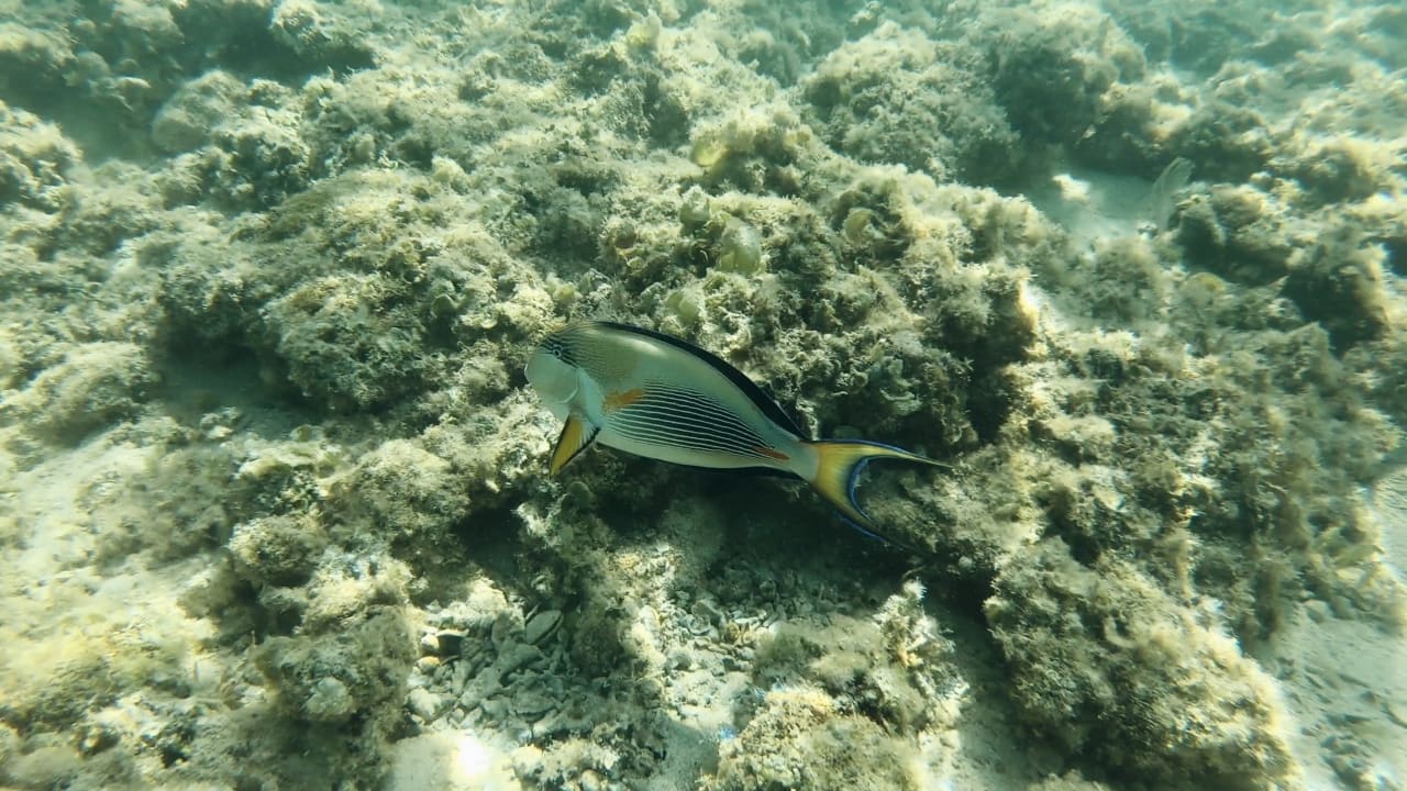 Strand Steigenberger Aqua Magic