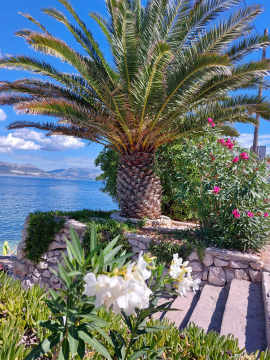 Gartenanlage Hotel Vila Tina