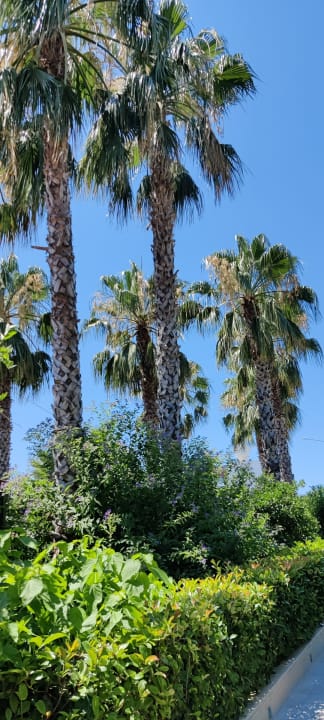 Gartenanlage Hane Family Resort