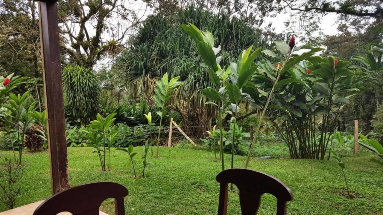 Terrasse hinten Hotel Montana de Fuego