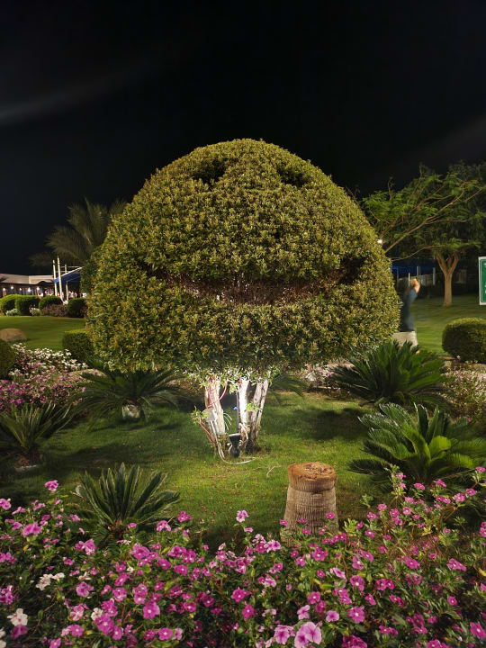 Gartenanlage Marina Resort Port Ghalib, a member of Radisson Individuals