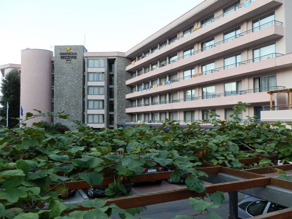 Kiwi Iberostar Waves Bellevue