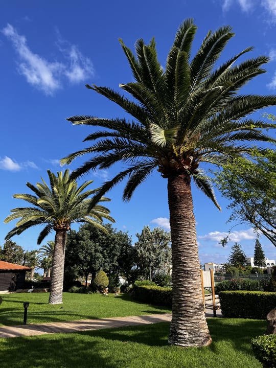 Gartenanlage Anissa Beach & Village