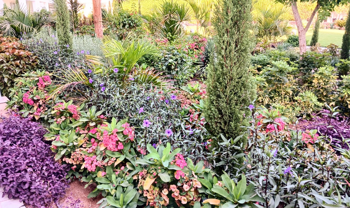 Gartenanlage Pickalbatros Dana Beach Resort - Hurghada