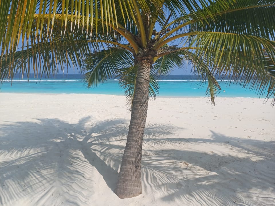 Strand Adaaran Select Meedhupparu Island Resort - Premium All Inclusive