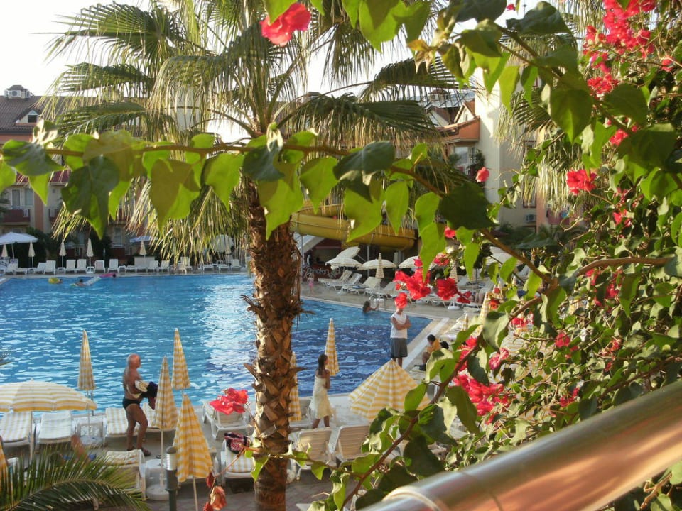 Poolblick vom Zimmer. Hotel Orfeus Park