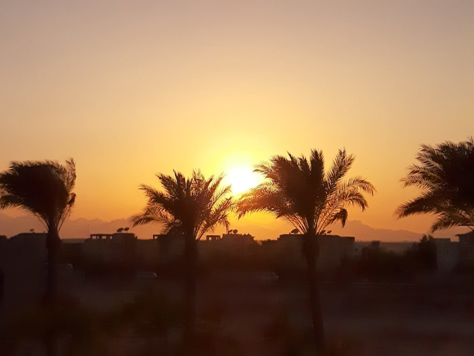 Ausblick Steigenberger Aqua Magic