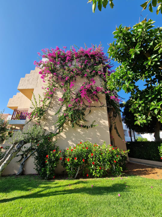 Gartenanlage Anissa Beach & Village