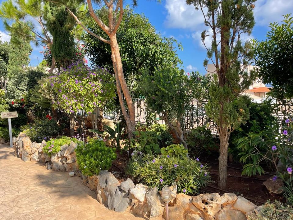 Gartenanlage Cactus Royal